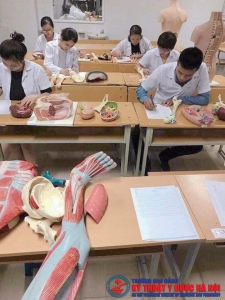 Ứng dụng học giải phẫu 3D - dành cho sinh viên Y Dược